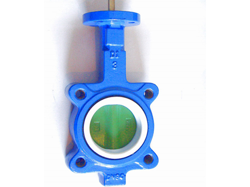 High-performance corrosion-resistant butterfly valve 1